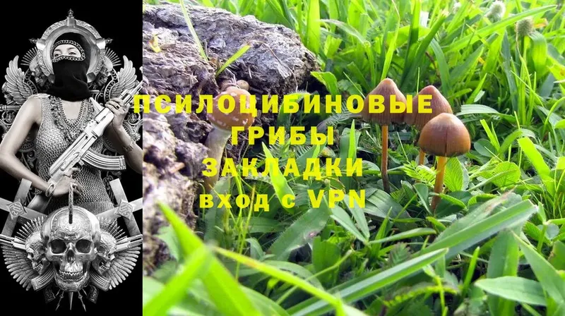 Псилоцибиновые грибы Psilocybine cubensis  хочу   omg как войти  Уфа 